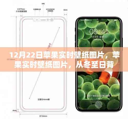 冬至流行文化印记，苹果实时壁纸图片精选，从冬至背景到时尚潮流展现