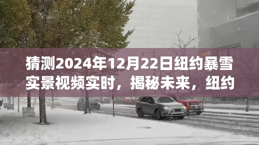 揭秘未来,纽约暴雪日——2024年纽约暴雪实景视频展望与揭秘