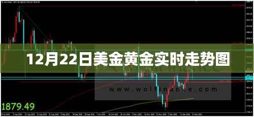 美金黄金走势图,最新实时动态分析