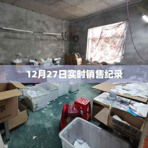 项目介绍 第336页