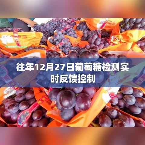 葡萄糖检测实时反馈控制,历年12月27日的观察分析