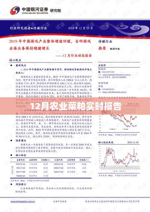 农业菜粕市场报告,最新实时动态分析