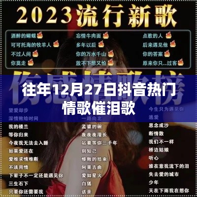 抖音情歌回顾，催泪热门歌曲盘点往年篇