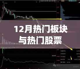 12月热门板块与股票全景解析