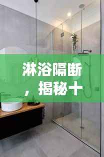 淋浴隔断选购指南,十二月热门产品推荐揭秘