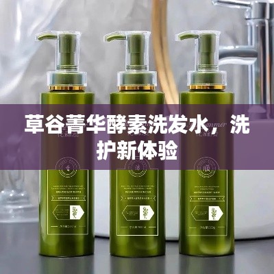 草谷菁华酵素洗发水,全新洗护体验