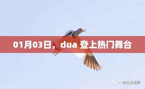 Dua引爆热门舞台,01月03日瞩目瞬间