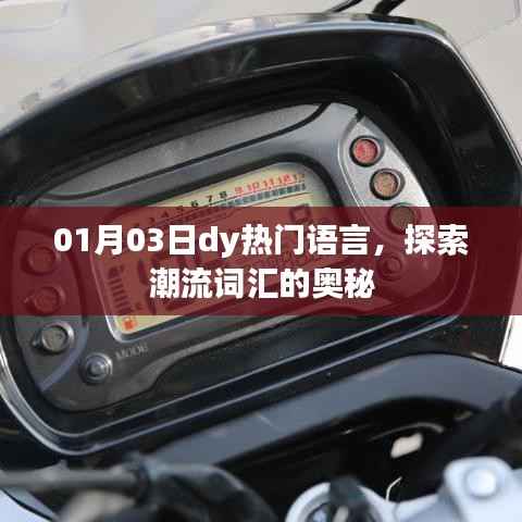 探索热门语言奥秘,潮流词汇一网打尽