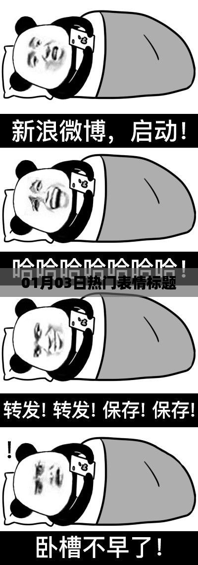 精选表情大赏,最新热门表情标题揭晓