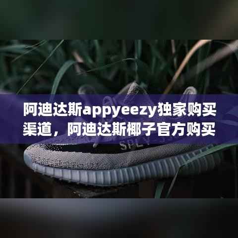 阿迪达斯appyeezy独家购买渠道,阿迪达斯椰子官方购买渠道