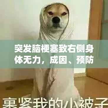 突发脑梗塞致右侧身体无力,成因、预防与应对策略