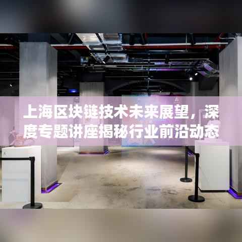上海区块链技术未来展望,深度专题讲座揭秘行业前沿动态