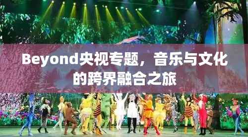 Beyond央视专题,音乐与文化的跨界融合之旅