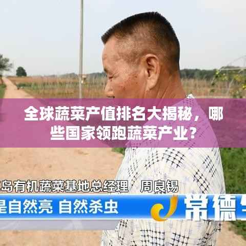 全球蔬菜产值排名大揭秘,哪些国家领跑蔬菜产业?