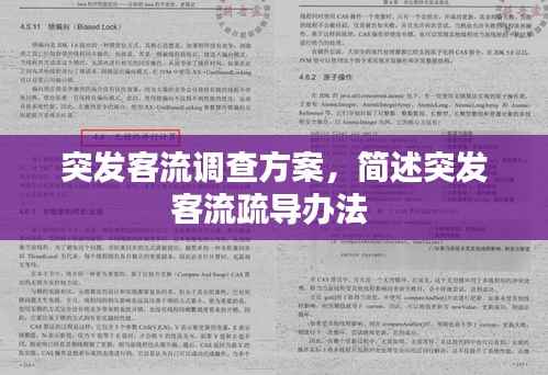 突发客流调查方案,简述突发客流疏导办法