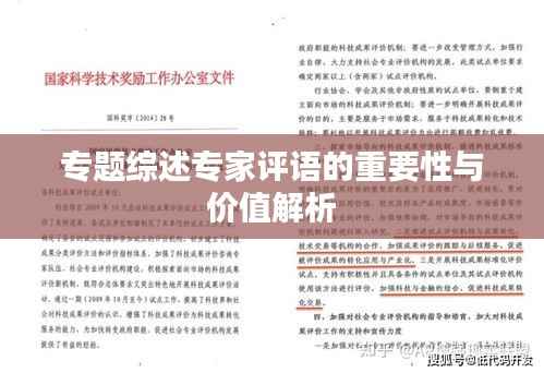 专题综述专家评语的重要性与价值解析