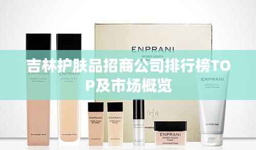 企业优势 第246页