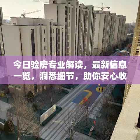 今日验房专业解读,最新信息一览,洞悉细节,助你安心收房