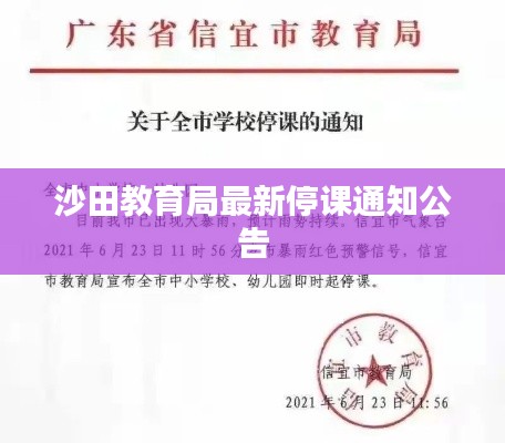 沙田教育局最新停课通知公告