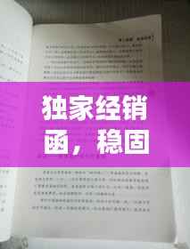 独家经销函,稳固商业合作的制胜秘诀