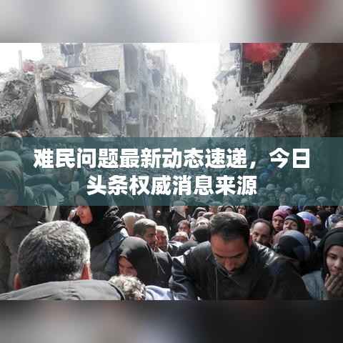 难民问题最新动态速递,今日头条权威消息来源