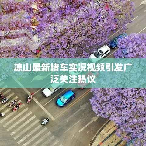 凉山最新堵车实况视频引发广泛关注热议