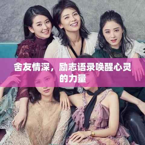 舍友情深,励志语录唤醒心灵的力量