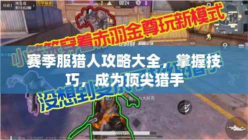 赛季服猎人攻略大全,掌握技巧,成为顶尖猎手