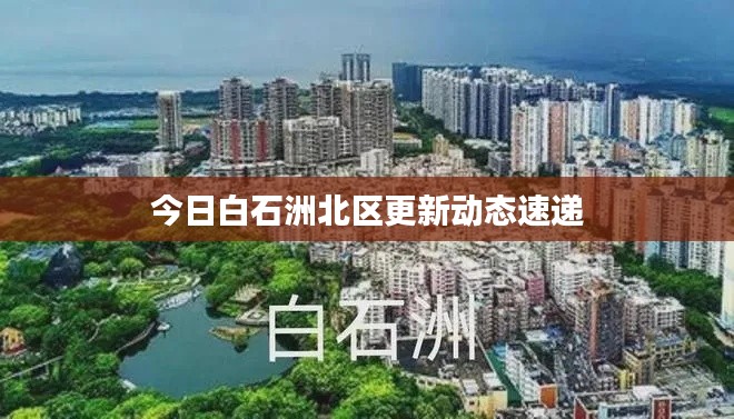 今日白石洲北区更新动态速递