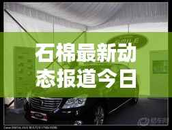 石棉最新动态报道今日更新