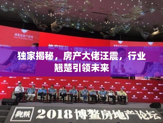 独家揭秘,房产大佬汪震,行业翘楚引领未来