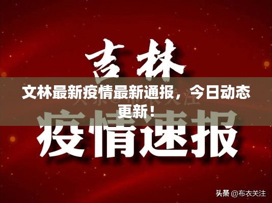 文林最新疫情最新通报,今日动态更新!