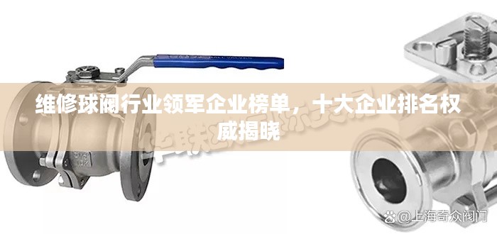 维修球阀行业领军企业榜单,十大企业排名权威揭晓