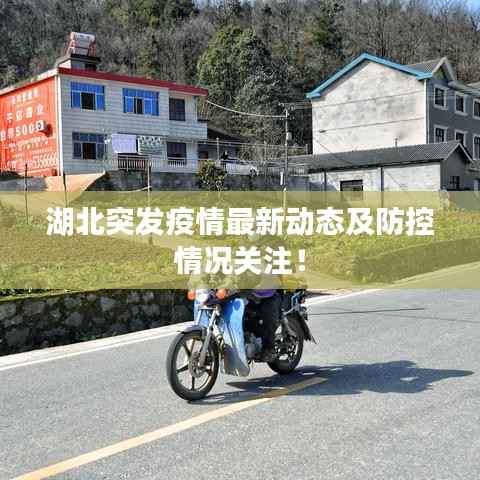 湖北突发疫情最新动态及防控情况关注!
