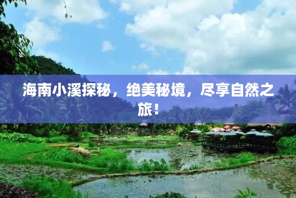 海南小溪探秘,绝美秘境,尽享自然之旅!