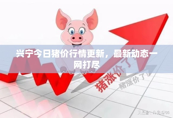 兴宁今日猪价行情更新,最新动态一网打尽