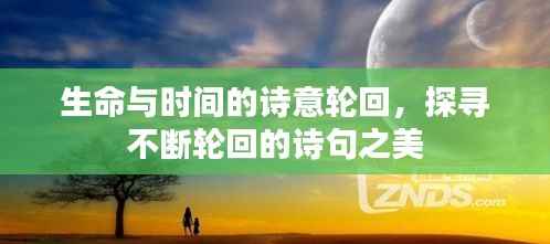 生命与时间的诗意轮回,探寻不断轮回的诗句之美