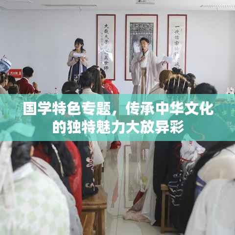 国学特色专题,传承中华文化的独特魅力大放异彩