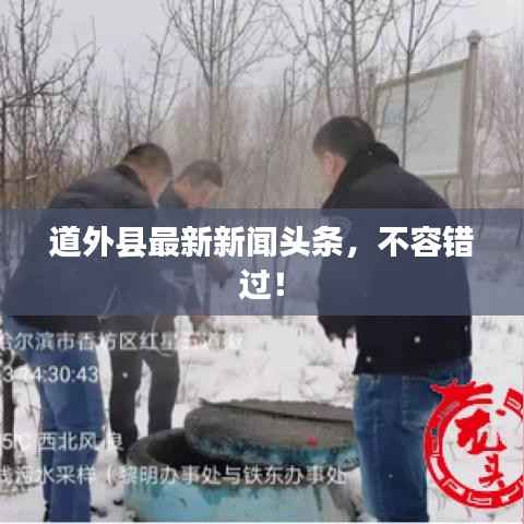 道外县最新新闻头条,不容错过!