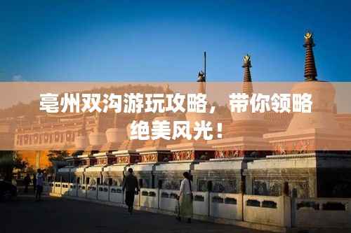 亳州双沟游玩攻略,带你领略绝美风光!
