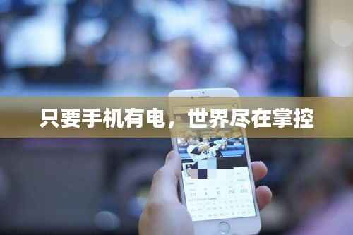 企业优势 第168页