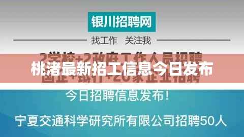桃渚最新招工信息今日发布