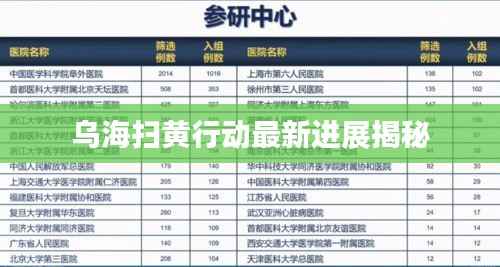 乌海扫黄行动最新进展揭秘