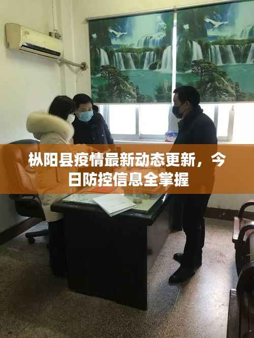 枞阳县疫情最新动态更新,今日防控信息全掌握