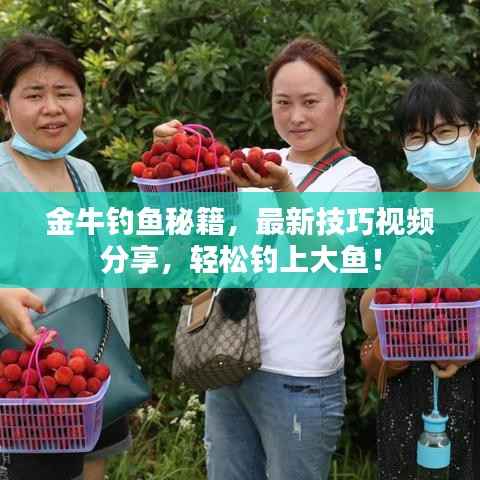 金牛钓鱼秘籍,最新技巧视频分享,轻松钓上大鱼!