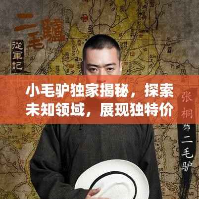 小毛驴独家揭秘,探索未知领域,展现独特价值