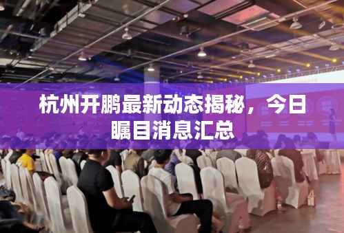 杭州开鹏最新动态揭秘,今日瞩目消息汇总