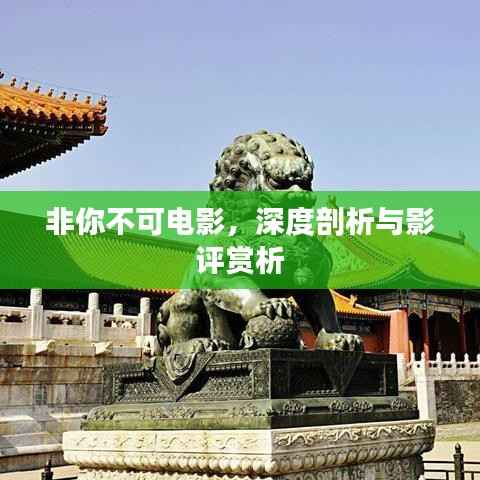 非你不可电影,深度剖析与影评赏析
