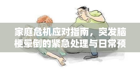 家庭危机应对指南,突发脑梗晕倒的紧急处理与日常预防措施