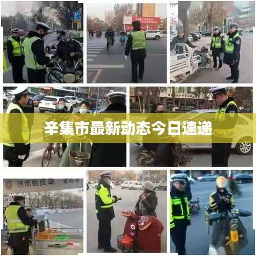 辛集市最新动态今日速递